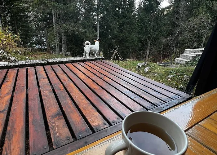 ~chalet_rifugio Tra I Boschi~ Σαλέ *
